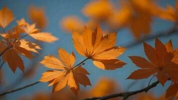 ai generiert Ahorn Blätter im das Herbst Wald. selektiv Fokus und flach Tiefe von Feld. generativ ai foto