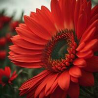 ai generiert schön rot Gerbera Gänseblümchen Blume im das Garten. generativ ai foto