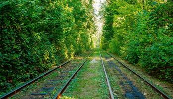 straßenbahn- und straßenbahnschienen im bunten wald foto