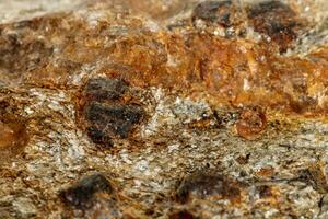 Makro Stein Granat Mineral im Felsen auf ein Weiß Hintergrund foto