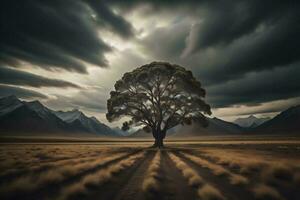 ai generiert einsam Baum im das Wüste beim Sonnenuntergang, ai generiert foto