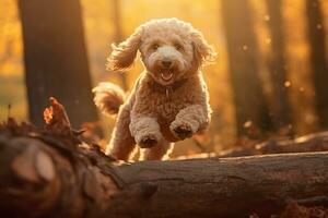 ai generiert Pudel Hund haben Spaß im das Wald foto