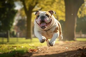 ai generiert aktiv Bulldogge Laufen im ein Hund Park foto