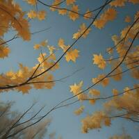 ai generiert Herbst Hintergrund mit Gelb Ahorn Blätter und Geäst auf Blau Himmel. ai generiert foto