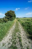 ein Schmutz Straße im das Mitte von ein grasig Feld foto