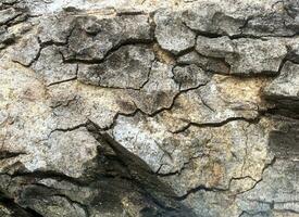 alt Stein Mauer Textur, natürlich Hintergrund foto