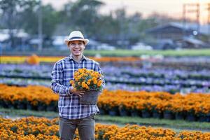 asiatisch Gärtner halten gesund Orange Ringelblume Topf während Arbeiten im seine ländlich Feld Bauernhof zum medizinisch Kraut und Schnitt Blume Geschäft foto