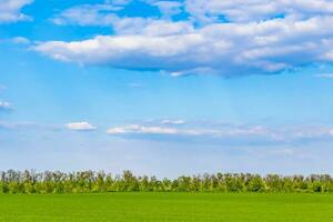 schöne horizontlandschaft in der dorfwiese auf natürlichem farbhintergrund foto