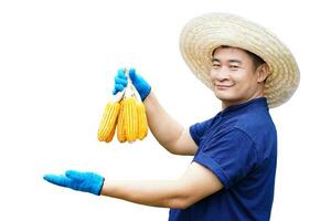 gut aussehend asiatisch Mann Farmer trägt Hut, blau Hemd und Handschuhe, halt Hühneraugen, machen Hand Geste zu Geschenk Produkt, isoliert auf Weiß Hintergrund. Konzept, Landwirtschaft Besetzung foto