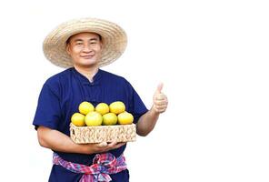 gut aussehend asiatisch Mann Farmer trägt Hut, Blau Shirt, hält Korb von organisch Orange Früchte, machen Hand zu gegenwärtig, isoliert auf Weiß Hintergrund. Konzept, Landwirtschaft Beruf, produzieren Pflanzen zu Markt. foto