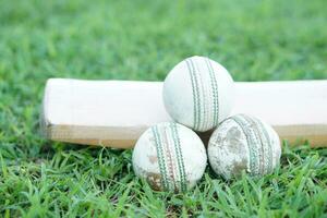 Weiß Kricket Ball auf hölzern Schläger. Konzept, Sport Ausrüstung. wettbewerbsfähig Sport. ein Kricket Ball ist gemacht mit ein Ader von Kork, bedeckt durch ein Leder Fall mit ein leicht angehoben genäht Naht foto