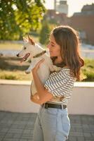 Hund Pfarrer Russell Terrier Rasse ist spielen im Grün Park mit seine Eigentümer. Sommer- Zeit oder Anfang von Herbst. Natur. Haustier Pflege und Ausbildung Konzept. foto