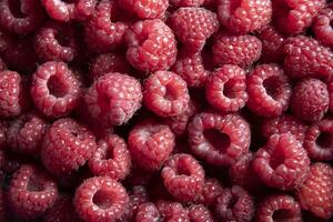 natürlich Obst Hintergrund von frisch Himbeeren oben Sicht, Textur von Beeren foto