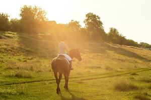 jung Frau Reiten ein Pferd auf das Grün Feld. Sonne Fackel foto