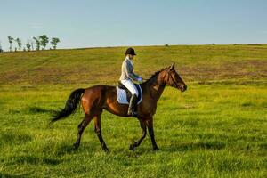 jung Frau Reiten ein Pferd auf das Grün Feld foto