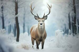 ai generiert still Winter Szene ein Hirsch im ein Schnee bedeckt Feld foto