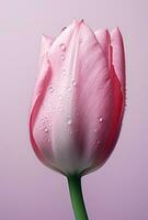 ai generiert ein Rosa Tulpe im Wasser, Rosa und grau, foto