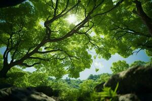 ai generiert nach oben Blick genießen das Aussicht von Grün Baum Überdachungen über foto