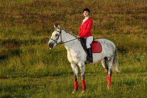 das Reiterin auf ein rot Pferd. Pferd Reiten. Pferd Rennen. Fahrer auf ein Pferd. foto