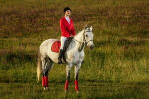 das Reiterin auf ein rot Pferd. Pferd Reiten. Pferd Rennen. Fahrer auf ein Pferd. foto