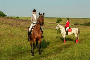 zwei jung Frauen Reiten Pferd im Park. Pferd gehen im Sommer- foto