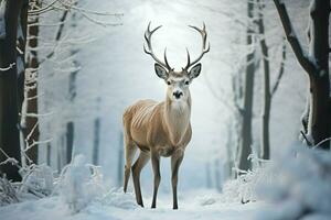 ai generiert Anmut im Winter Hirsch steht gegen ein Schnee bedeckt Wald Hintergrund foto