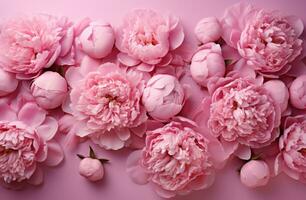 ai generiert Rosa Pfingstrosen, Blumen vereinbart worden auf Rosa Hintergrund mit oben Aussicht foto