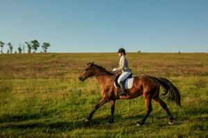 jung Frau Fahrer mit ihr Pferd im Abend Sonnenuntergang Licht. draussen Fotografie im Lebensstil Stimmung foto