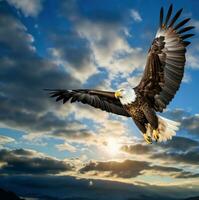 ai generiert ein majestätisch Adler hochfliegend durch das Himmel, mit es ist mächtig Flügel verlängert foto