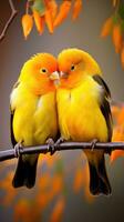 ai generiert ein Paar von Lovebirds Sitzung zusammen auf ein Zweig, ihr hell Orange und Gelb Gefieder foto