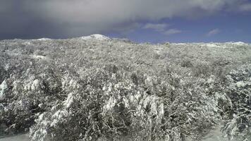 Fantastisch Winter Landschaft von hoch Berg und schneebedeckt Wald auf wolkig, Blau Himmel Hintergrund. Schuss. sonnig Tag im Weiss, Winter Felsen und Bäume bedeckt mit Schnee gegen hell Himmel. foto