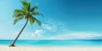 ai generiert ein Bild von ein Palme Baum auf ein Weiß sandig Strand foto