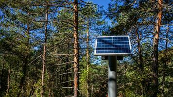 ai generiert Solar- Panel Harmonie im Kiefer Wald foto