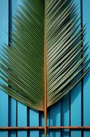 ai generiert ein Palme Blatt ist auf ein Mauer schließen zu ein eingezäunt im Hof mit ein Blau Tor foto