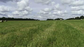 Sommer- Landschaft von Wiesen gemäht während Ernte Zeit. Schuss. Heuhaufen Trocknen unter das Sonne, Vorbereitung von Tier füttern, Landschaft ökologisch Region. foto