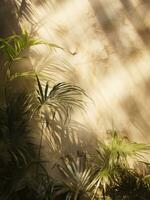 ai generiert Schatten von Palme Blätter smiley durch arturo Malmacio, foto