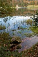 ein Teich mit Wasser foto