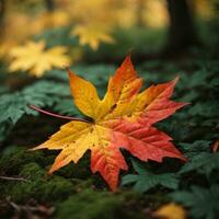 ai generiert Herbst Abschied Nahansicht von ein rot Ahorn Blatt im das Wald generativ durch ai foto