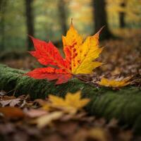 ai generiert Herbst Abschied Nahansicht von ein rot Ahorn Blatt im das Wald generativ durch ai foto