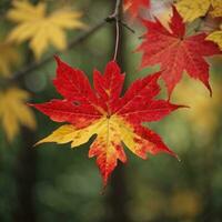 ai generiert Herbst Abschied Nahansicht von ein rot Ahorn Blatt im das Wald generativ durch ai foto