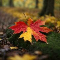 ai generiert Herbst Abschied Nahansicht von ein rot Ahorn Blatt im das Wald generativ durch ai foto