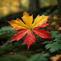 ai generiert Herbst Abschied Nahansicht von ein rot Ahorn Blatt im das Wald generativ durch ai foto