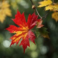 ai generiert Herbst Abschied Nahansicht von ein rot Ahorn Blatt im das Wald generativ durch ai foto