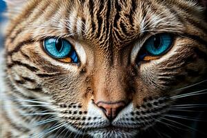 ai generiert Nahansicht von ein braun Tabby Katze mit auffällig Blau Augen Lügen Nieder generativ durch ai foto