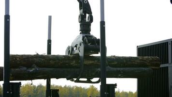 ein Forstwirtschaft Maschine Ladungen ein Log LKW beim das Seite? ˅ Landung. Wald Maschine Nieder Protokolle foto