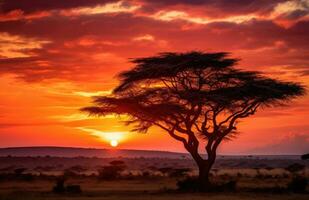 ai generiert das Sonnenaufgang, Sonnenuntergang im Kenia foto