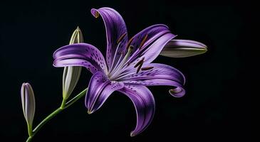 ai generiert ein Bild von ein lila Lilie foto
