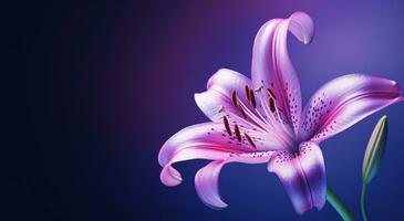 ai generiert ein Bild von ein lila Lilie foto