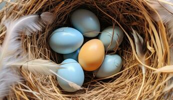 ai generiert Dort ist Blau, Gelb und Orange Eier im ein Nest foto