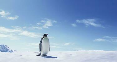 ai generiert Pinguin Stehen im Antarktis suchen in das Blau Himmel. ai generiert foto